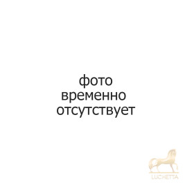 Постер  dipinto tigre 55