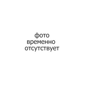 Постер dipinto tigre 55