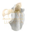 Декоративный элемент ACCESSORIES, FRATELLI BARRI Декоративный элемент ACCESSORIES, FRATELLI BARRI