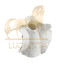 Декоративный элемент ACCESSORIES, FRATELLI BARRI Декоративный элемент ACCESSORIES, FRATELLI BARRI