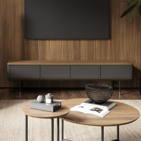 Тумба под TV ALTEA