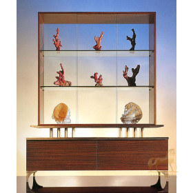 Витрина  OAK SC 1002