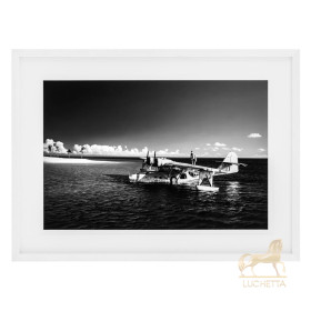 Постер Catalina 110867