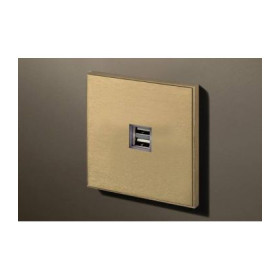 Двойная USB розетка в сборе Lithoss Void, Brass