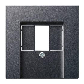 Накладка для TAE и USB без поля для надписи Gira System 55, антрацит