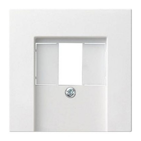 Накладка для TAE и USB без поля для надписи Gira System 55, белый