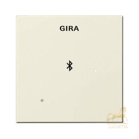 Глухая крышка для вставки док-станции Gira