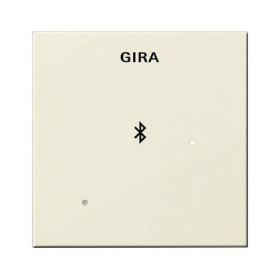 Глухая крышка для вставки док-станции Gira