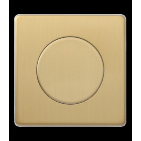 Рамка с заглушкой, Varilight Varigrid, Brushed Brass