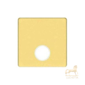 Монтажная плата для механизмов TV/SAT с одним коннектором FEDE, bright gold + beige