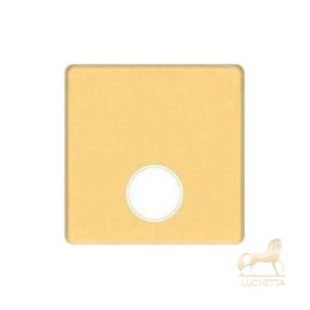 Монтажная плата для механизмов TV/SAT с одним коннектором FEDE, real gold + beige