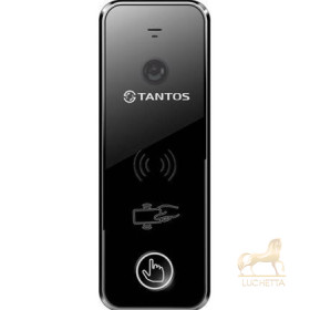 Вызывная панель с цветным модулем видеокамеры высокого разрешения Tantos iPanel 2 WG